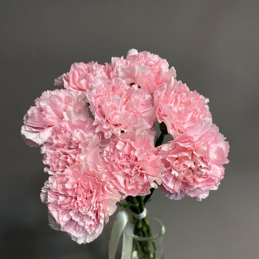 https://content2.flowwow-images.com/data/flowers/1000x1000/69/1685645588_24221569.jpg